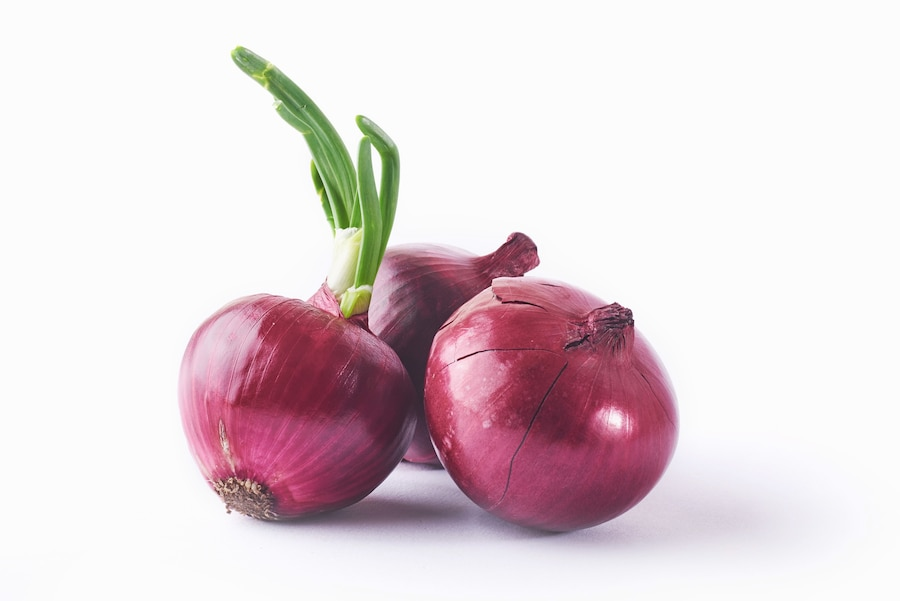 red-onion-whole-isolated-white_146671-19175.png